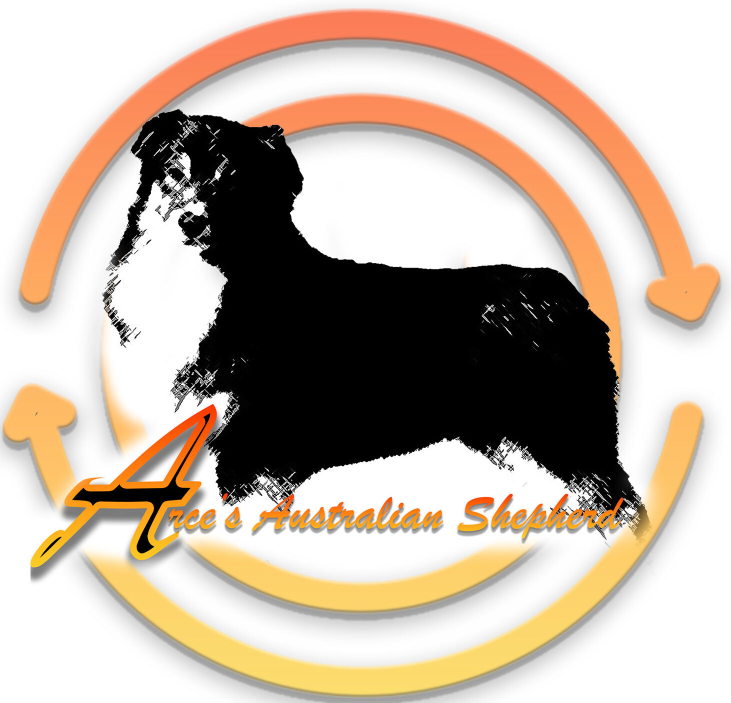 Arce’s Australian Shepherd